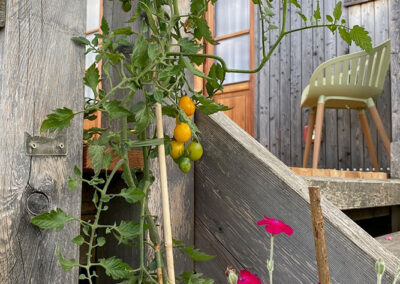 Urlaub im Tiny House // WOHNWAGON Louisa in Bayern