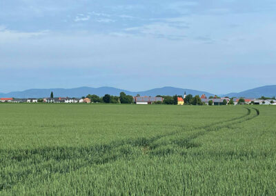 Urlaub im Tiny House // WOHNWAGON Louisa in Bayern