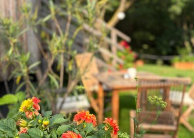 WOHNWAGON Mia in Jennersdorf im Burgenland