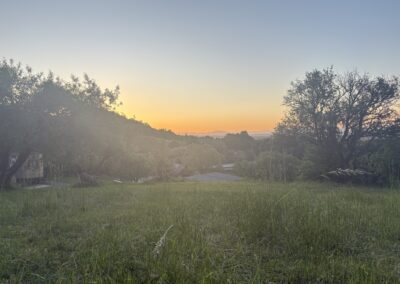 WOHNWAGON Mia in Jennersdorf im Burgenland