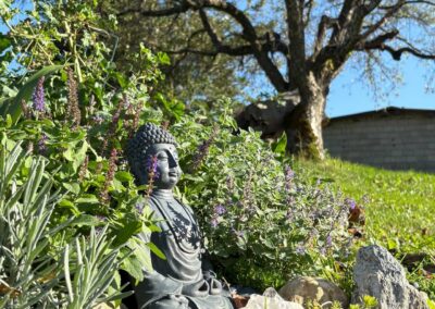 WOHNWAGON Mia in Jennersdorf im Burgenland