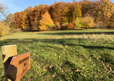 WOHNWAGON Mia in Jennersdorf im Burgenland
