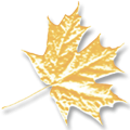 Logo Conda